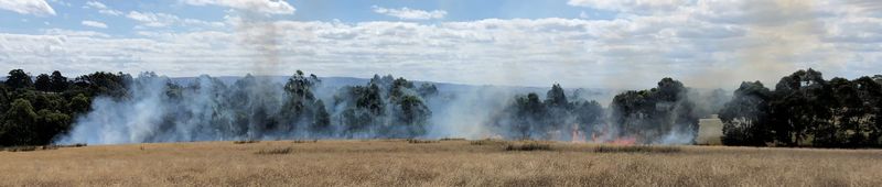CFA 202203 - Matheison Park Grass Fire