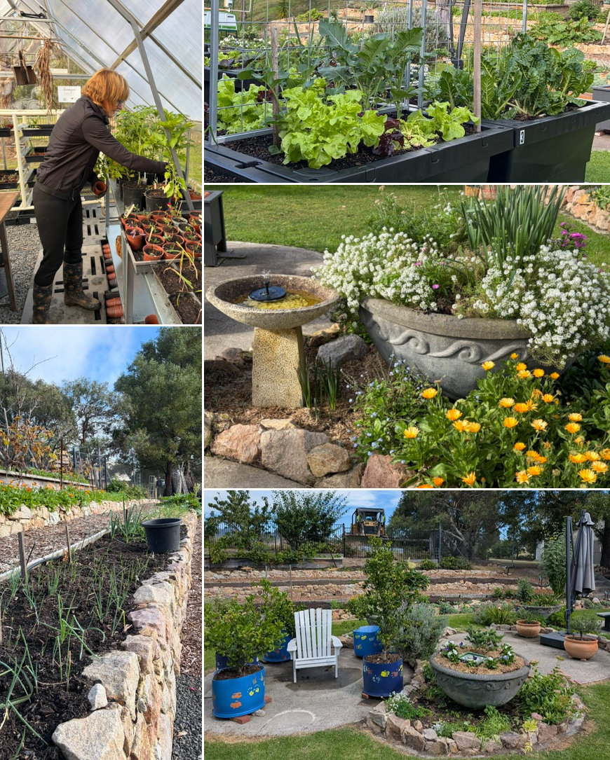 Montage of scenes from the garden
