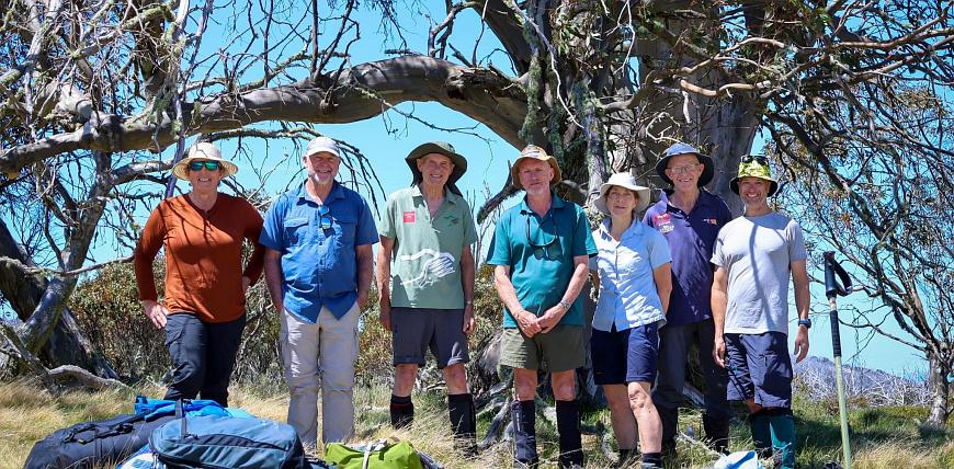 Group of walkers under huge snowgum