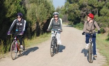 Three cylists on the trail