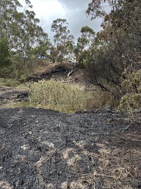 Gully with fire blackened area on lip