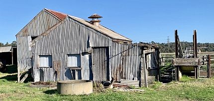 Farm shed, yards and loading ramp