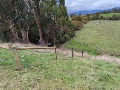 New fencing beside Morwell River on steep hills